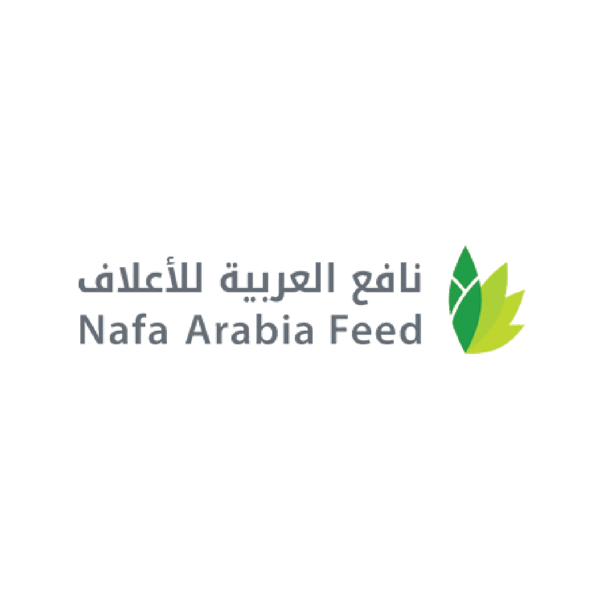 Local partners 08 nafa arabia feed